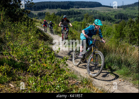 Un vélo de montagne des femmes à la tête d'un groupe de cavaliers le long d'un sentier au Bikepark de galles près de la ville de Merthyr Tydfil. Banque D'Images