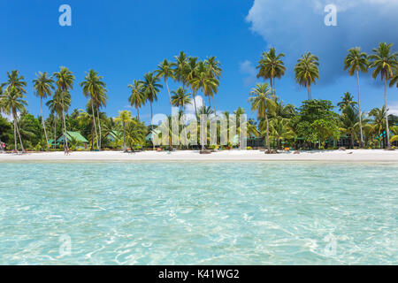 Palmiers sur la plage tropicale de Koh Kood island en Thailande Banque D'Images