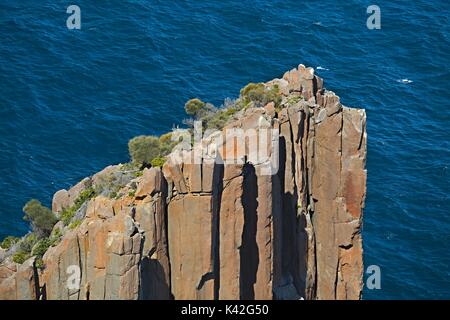 Côte sauvage cliffs Banque D'Images