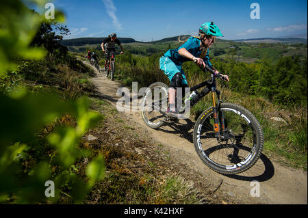 Un vélo de montagne des femmes à la tête d'un groupe de cavaliers le long d'un sentier au Bikepark de galles près de la ville de Merthyr Tydfil. Banque D'Images