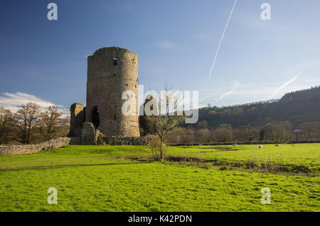 Ruines du château de Tretower en Powys, Pays de Galles, Royaume-Uni. Journée ensoleillée, ciel bleu. Banque D'Images