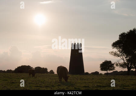 Le moulin noir sur le domaine près de Westwood Beverley golf club et surplombant la ville de Beverley Banque D'Images