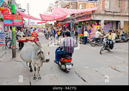 Rue commerçante et les bovins, Bharatpur, Rajasthan, Inde | Einkaufsstrasse und Hausrind, Bharatpur, Rajasthan, Indien Banque D'Images