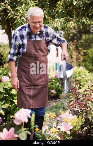 Vieil homme arrosage des fleurs dans son jardin Banque D'Images