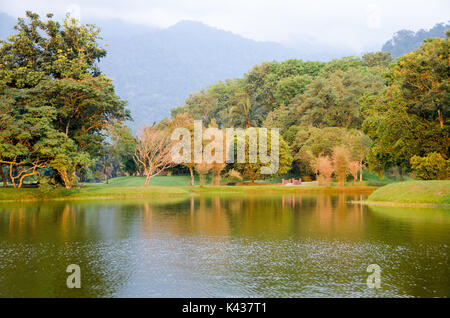 Le lac Taiping Taiping au coucher du soleil, le jardin, la Malaisie - Eaux calmes au lac Taiping Gardens Banque D'Images