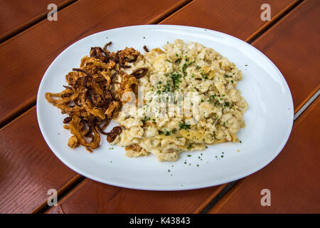 Kasespatzle traditionnels (fromage spatzle) servie avec des oignons frits dans un restaurant, Munich, Bavière, Allemagne Banque D'Images