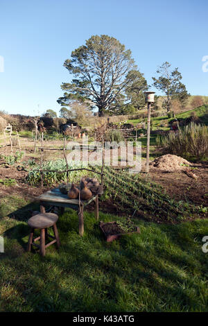 Large vue d'une partie de l'Hobbiton Movie Set, Matamata, Waikato, Nouvelle-Zélande Banque D'Images