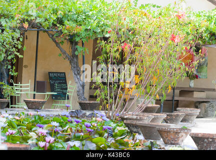 Les jardins de l'eau célèbre Labor-Marliac pour cultiver des nénuphars Banque D'Images