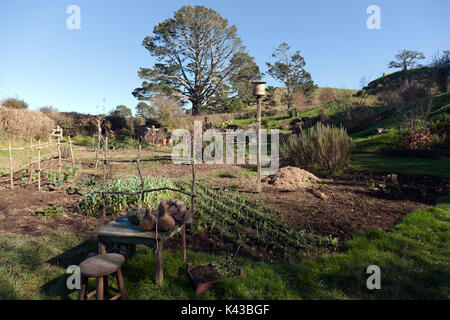 Large vue d'une partie de l'Hobbiton Movie Set, Matamata, Waikato, Nouvelle-Zélande Banque D'Images