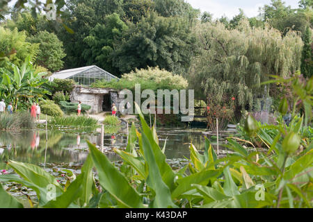 Les jardins de l'eau célèbre Labor-Marliac pour cultiver des nénuphars Banque D'Images