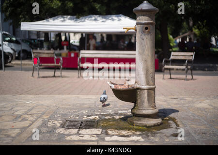 Une très vieille fontaine dans la ville de Mola di Bari, Pouilles, Italie Banque D'Images