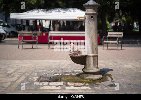 Une très vieille fontaine dans la ville de Mola di Bari, Pouilles, Italie Banque D'Images