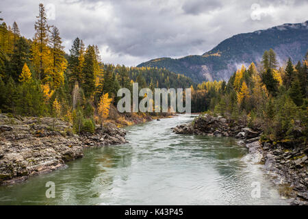 Automne feuillage change de couleur le long de la rivière Middle Fork au parc national des Glaciers, le 18 octobre 2016 près de Essex, Montana. (Photo par Jacob W. Frank par Planetpix) Banque D'Images