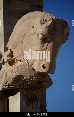 Capitale Bull. Colonnes d'achéménidés sculptées à Persepolis, Iran. Palais de 100 colonnes, Persepolis, Iran Banque D'Images