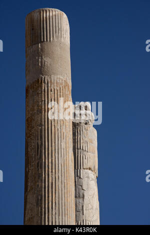 Les colonnes à l'achéménide sculpté site archéologique de Persépolis, l'Iran. Ruines du palais Apadana Banque D'Images