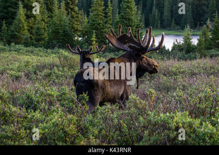 Zone de loisirs du lac de Brainard, Ward, Colorado. Banque D'Images