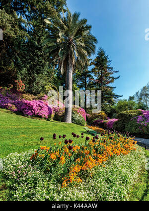 Villa Carlotta , jardin botanique, Tremezzina, Lac de Côme, Lombardie, Italie Banque D'Images