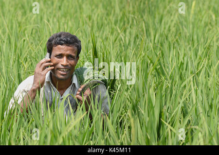 Pour favoriser l'information pour la communauté agricole la vulgarisation agricole ont été numérisés avec call center Call Center Krishi lick Banque D'Images