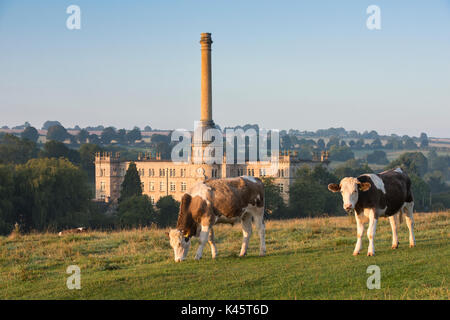 Taureaux en face de Bliss Tweed Mill tôt le matin. Chipping Norton, Oxfordshire, Angleterre Banque D'Images