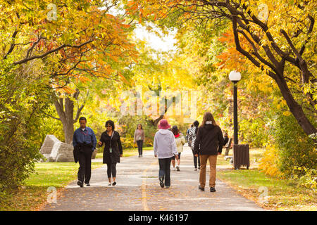 Canada, Québec, Hull-Gatineau, wallkway par la rivière Ottawa, automne Banque D'Images