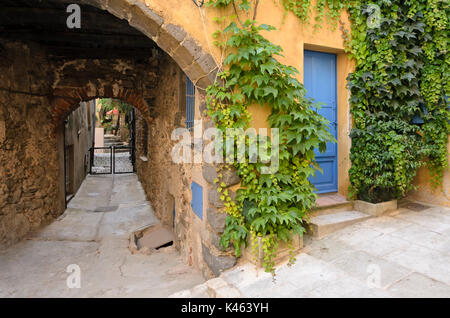 Réducteur du Parthenocissus tricuspidata (japonais) à une ancienne maison de ville, Grimaud, France Banque D'Images