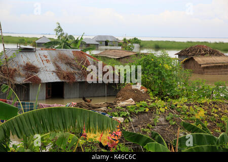 Homes aller sous l'eau dans un village d'Ulipur upazila de Kurigram qu'inondations grip le nord du Bangladesh pert. Kurigram Bangladesh Banque D'Images