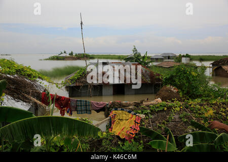 Homes aller sous l'eau dans un village d'Ulipur upazila de Kurigram qu'inondations grip le nord du Bangladesh pert. Kurigram Bangladesh Banque D'Images