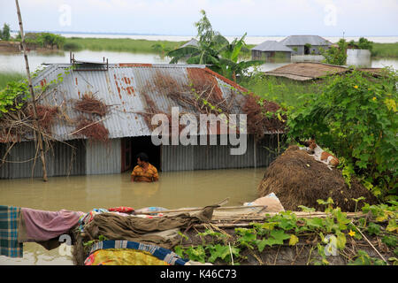 Homes aller sous l'eau dans un village d'Ulipur upazila de Kurigram qu'inondations grip le nord du Bangladesh pert. Kurigram Bangladesh Banque D'Images