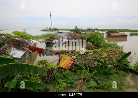 Homes aller sous l'eau dans un village d'Ulipur upazila de Kurigram qu'inondations grip le nord du Bangladesh pert. Kurigram Bangladesh Banque D'Images