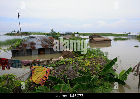 Homes aller sous l'eau dans un village d'Ulipur upazila de Kurigram qu'inondations grip le nord du Bangladesh pert. Kurigram Bangladesh Banque D'Images