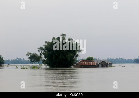 Homes aller sous l'eau dans un village d'Ulipur upazila de Kurigram qu'inondations grip le nord du Bangladesh pert. Kurigram Bangladesh Banque D'Images