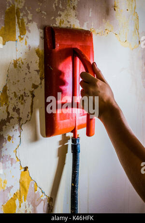 / Décoration Décoration : Woman's hand holding un bateau à vapeur électrique contre un mur, à retirer l'ancien papier peint d'une chambre dans une maison. Angleterre, Royaume-Uni. Banque D'Images