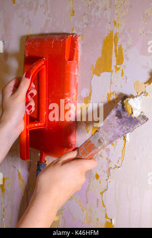 / Décoration Décoration : Woman's hands holding un bateau à vapeur électrique contre un mur, en raclant un vieux papier peint d'une chambre dans une maison. Angleterre, Royaume-Uni. Banque D'Images