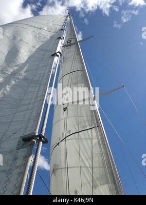 La voile sur une journée ensoleillée, voiles blanches contre un ciel bleu Banque D'Images