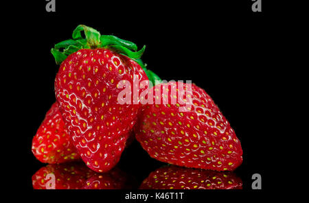 Trois fraises rouge avec feuilles vertes, sur le dessus d'une surface en verre réfléchissant, et fond noir, isolé. Banque D'Images