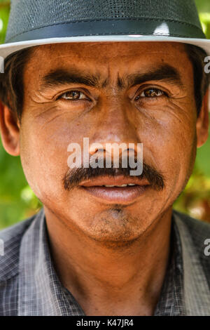 Bahia de Kino, Flore Faune y del Desierto de Punta Chueca, San Nicolas Sonora au Mexique Banque D'Images