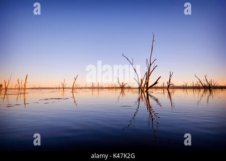 Réflexion du soir d'arbres morts sur le lac de l'eau Nuga Nuga, Queensland central Banque D'Images