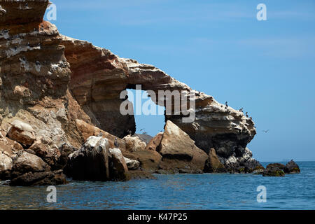 Arch Rock et des pélicans, péninsule Paracas, la réserve nationale de Paracas, Pisco, Province Région Ica, Pérou, Amérique du Sud Banque D'Images