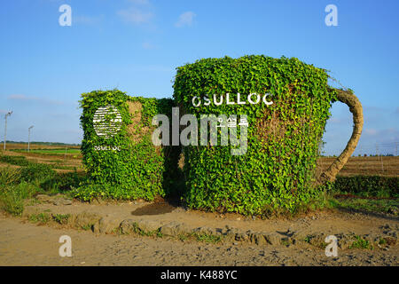 Le musée du thé et osulloc la plantation de thé situé à côté de la boutique et de innisfree house cafe à seogwipo (sur l'île de Jeju en Corée du Sud Banque D'Images