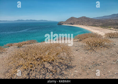 El saltito, plage de la paz Baja California Sur. Le Mexique Banque D'Images