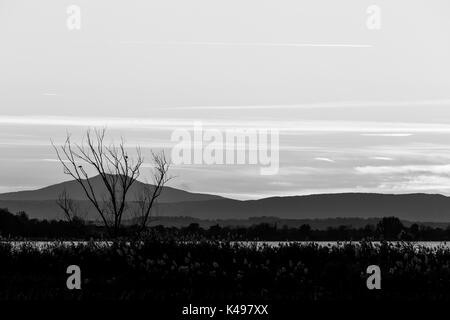 La silhouette des arbres et des plantes à proximité d'un lac au crépuscule, avec des tons doux dans le ciel et les collines au loin Banque D'Images