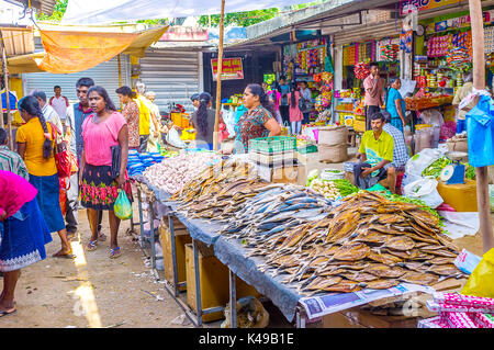 Wellawaya, Sri Lanka - 2 décembre 2016 : la vue sur le stand avec la variété de poisson sec à partir de l'océan indien, le 2 décembre en wellawaya Banque D'Images