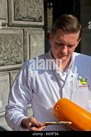 Inspecteur de Cono Kaasmakers fromage Test d'une meule de fromage, Alkmaar, Pays-Bas Banque D'Images