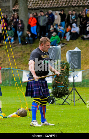 Écossais participant à la hauteur de la gerbe traditionnelle de la concurrence, les Jeux des Highlands, Ceres Ceres, Ecosse, Royaume-Uni Banque D'Images