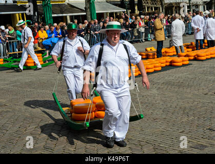 Les Porteurs de Fromage Fromage Truckles comptable au Marché au Fromage d'Alkmaar, Pays-Bas Banque D'Images