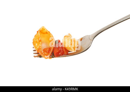 Pâtes en sauce Conchiglie l sur une fourchette isolés contre white Banque D'Images