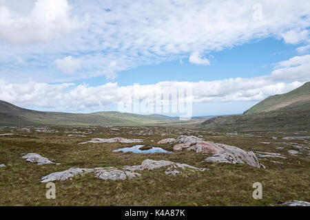 Tourbière de montagne habitat de reproduction, Strath Dionard Bergeronnette NW Sutherland en Écosse Juin Banque D'Images