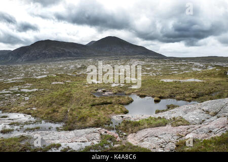 Tourbière de montagne habitat de reproduction, Strath Dionard Bergeronnette NW Sutherland en Écosse Juin Banque D'Images