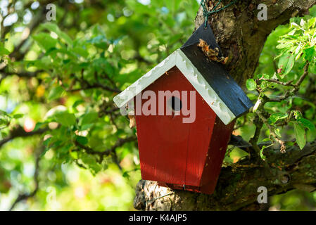 Nichoir en bois rouge ou cabane dans un arbre. Banque D'Images