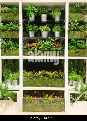 Divers plantes et fleurs en bibliothèque, belle scène d'intérieur Banque D'Images